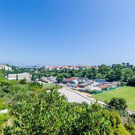 Pavle Dubrovnik