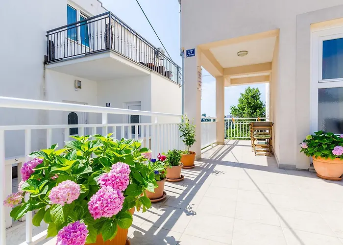 Pavle Daire Dubrovnik